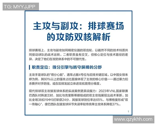 深圳排球队的战术解析与控制能力深度剖析
